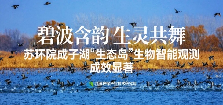 尊龙游戏app下载